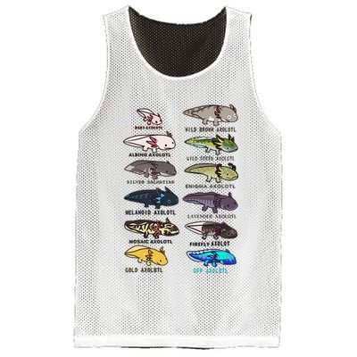 Funny Type Of Axolotls Funny Axolotl Lovers  Mesh Reversible Basketball Jersey Tank