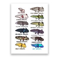 Funny Type Of Axolotls Funny Axolotl Lovers  Poster