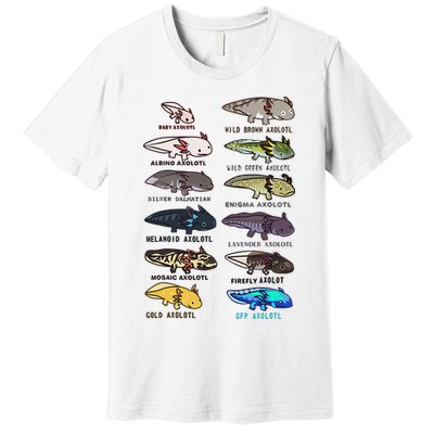 Funny Type Of Axolotls Funny Axolotl Lovers  Premium T-Shirt