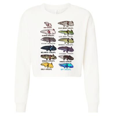 Funny Type Of Axolotls Funny Axolotl Lovers  Cropped Pullover Crew