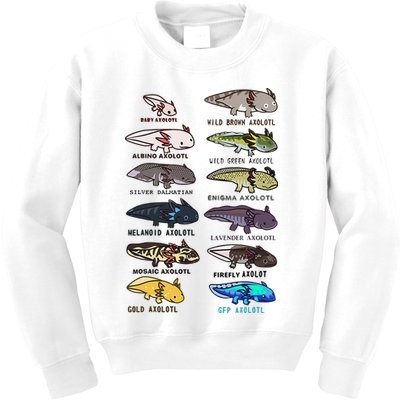 Funny Type Of Axolotls Funny Axolotl Lovers  Kids Sweatshirt