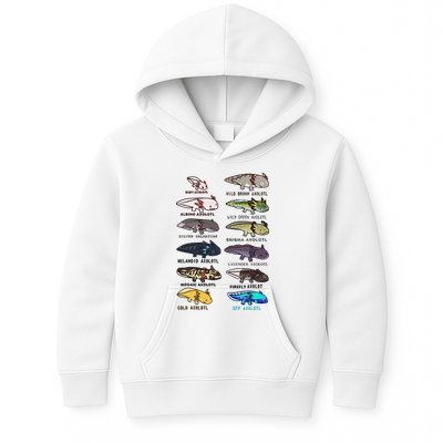 Funny Type Of Axolotls Funny Axolotl Lovers  Kids Hoodie