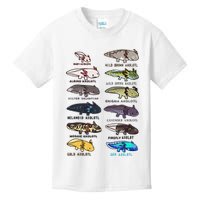 Funny Type Of Axolotls Funny Axolotl Lovers  Kids T-Shirt