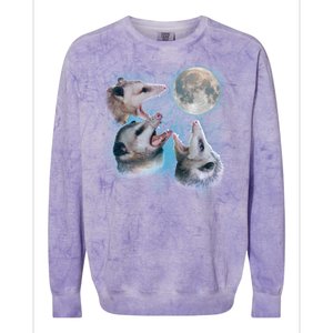 Funny Three Opossom Moon Colorblast Crewneck Sweatshirt