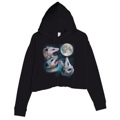 Funny Three Opossom Moon Crop Fleece Hoodie