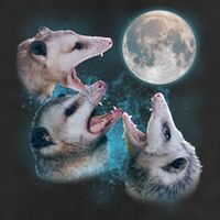 Funny Three Opossom Moon Large Microfiber Waffle Golf Towel
