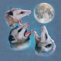 Funny Three Opossom Moon Garment-Dyed Sweatshirt