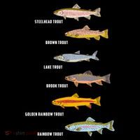 Funny Types Of Trout Fish Species Fishing Angling Tall T-Shirt