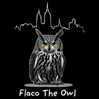 Flaco The Owl Cooling Performance Crew T-Shirt