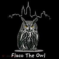Flaco The Owl Magnet