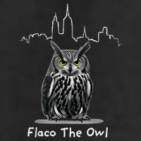 Flaco The Owl 25L Jumbo Tote