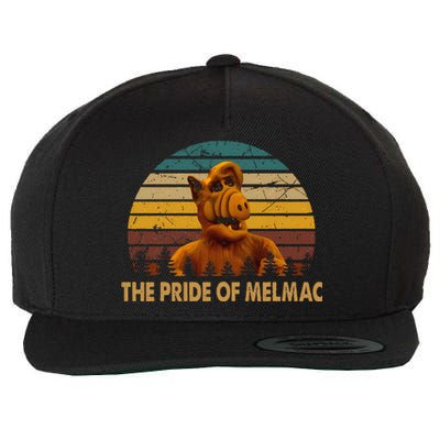 Funny The Pride Of Melmac Alf Alien Vintage Gift Wool Snapback Cap