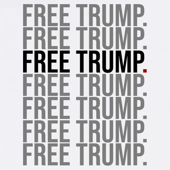 Free Trump Pro Republican Political Women's V-Neck T-Shirt