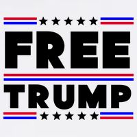 Free Trump Pro Donald Trump Election Toddler T-Shirt