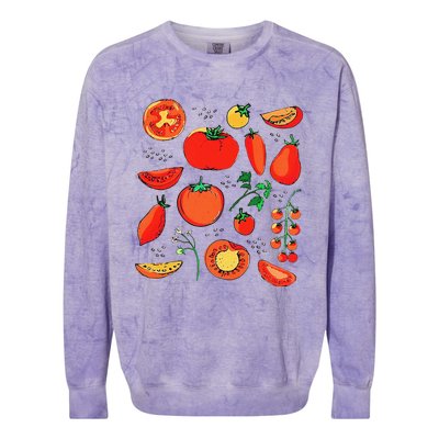 Funny Tomato Pun Hand Draw Tomatoes Watercolor Summer Foodie Colorblast Crewneck Sweatshirt