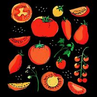 Funny Tomato Pun Hand Draw Tomatoes Watercolor Summer Foodie Mug