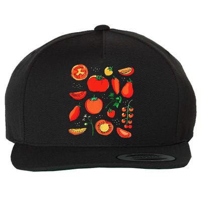 Funny Tomato Pun Hand Draw Tomatoes Watercolor Summer Foodie Wool Snapback Cap