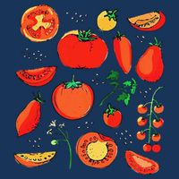 Funny Tomato Pun Hand Draw Tomatoes Watercolor Summer Foodie Bag