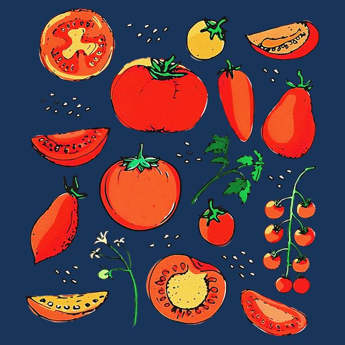 Funny Tomato Pun Hand Draw Tomatoes Watercolor Summer Foodie Bag