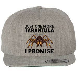 Funny Tarantula Pet Holder Just One More Tarantula I Promise Wool Snapback Cap