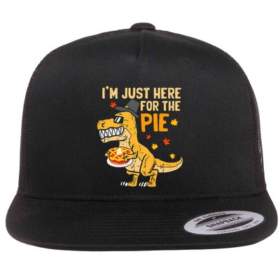 Funny Thanksgiving Pumpkin Pie Lover Gift Flatbill Hat