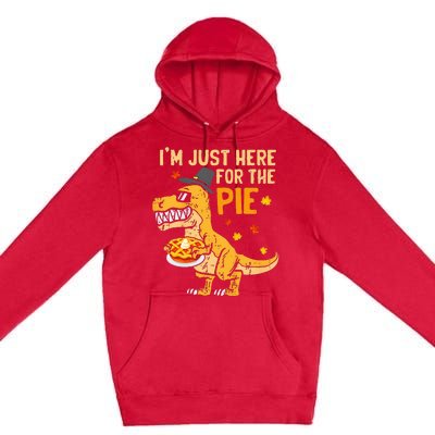 Funny Thanksgiving Pumpkin Pie Lover Gift Premium Pullover Hoodie