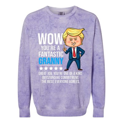 Funny Trump Quote Fantastic Granny Grandmother Colorblast Crewneck Sweatshirt