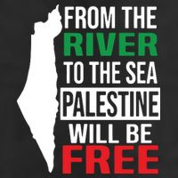From The River To The Sea Palestine Will Be Free Adult Drive Performance Visor