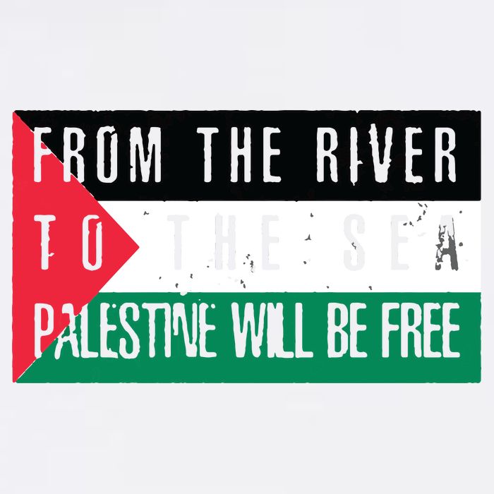From The River To The Sea Palestine Will Be Free Wool Snapback Cap