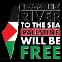 From The River To The Sea Palestine Will Be Free 16 in Basic Backpack