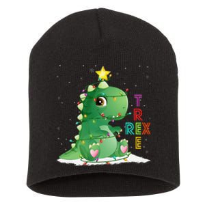 Funny Tree Rex Christmas Tree Lights Dinosaur T Rex Short Acrylic Beanie