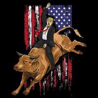 Funny Trump Rodeo Bull Rider Patriotic American Flag Trump Hoodie