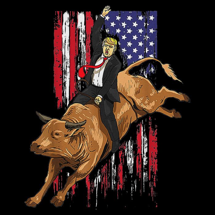 Funny Trump Rodeo Bull Rider Patriotic American Flag Trump Hoodie