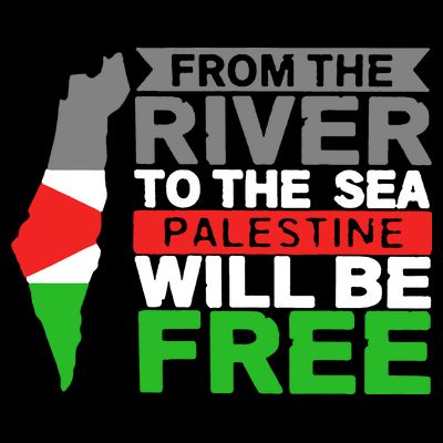 From The River To The Sea Palestine Will Be Free T-Shirt