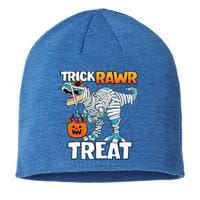 Funny Trick Rawr Treat Dinosaur Pumpkin Candy Trex Halloween Meaningful Gift Sustainable Beanie