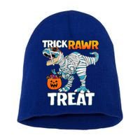 Funny Trick Rawr Treat Dinosaur Pumpkin Candy Trex Halloween Meaningful Gift Short Acrylic Beanie