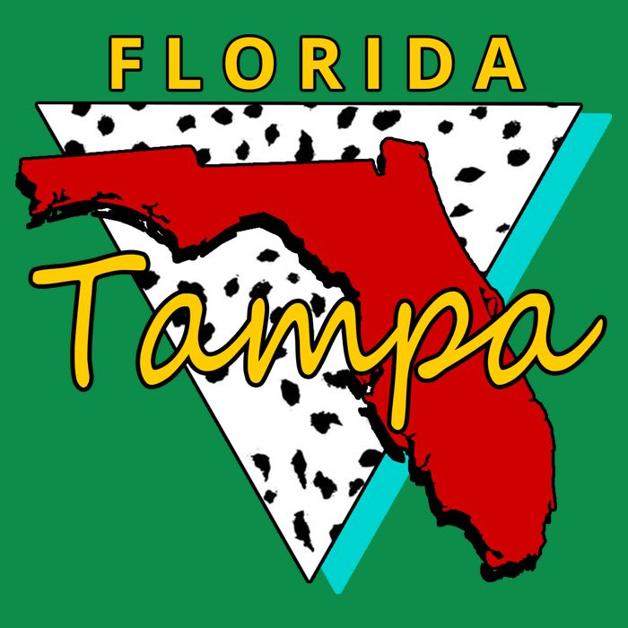 Florida Tampa Retro Kids Hoodie