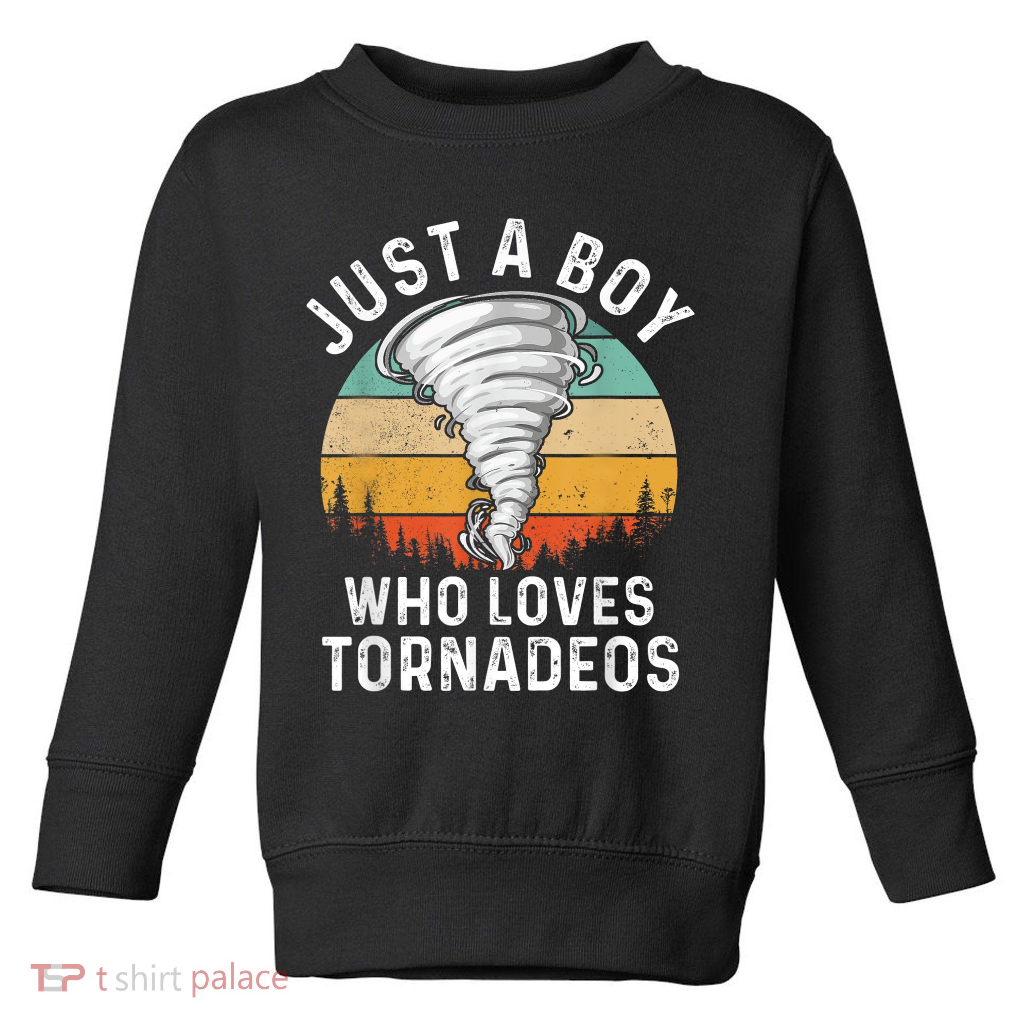 Funny Tornado Storm Chasing Twister Hurricane Boys Toddler Sweatshirt