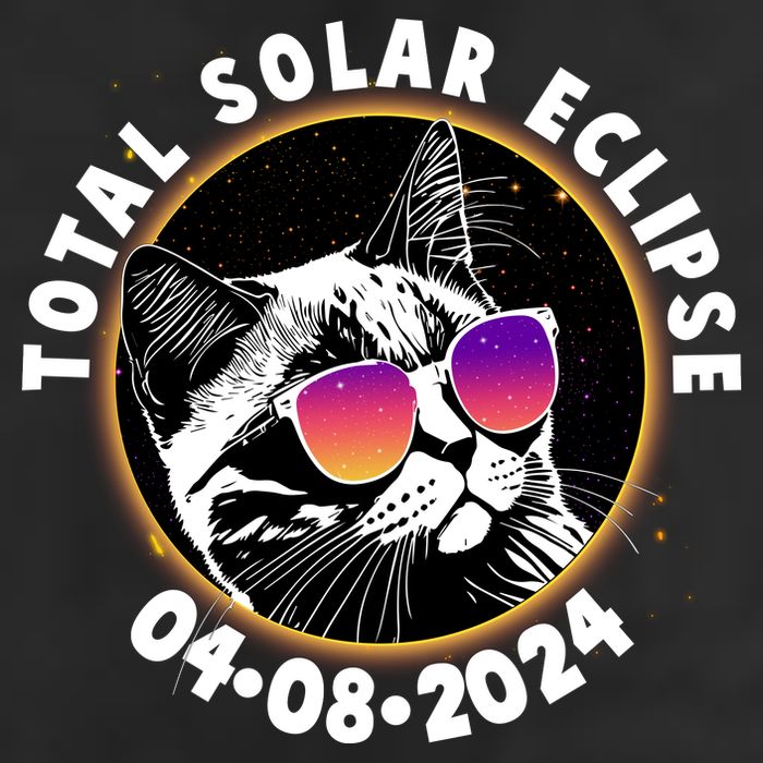Funny Total Solar Eclipse April 8 2024 Sunglasses Cat Garment-Dyed Heavyweight T-Shirt