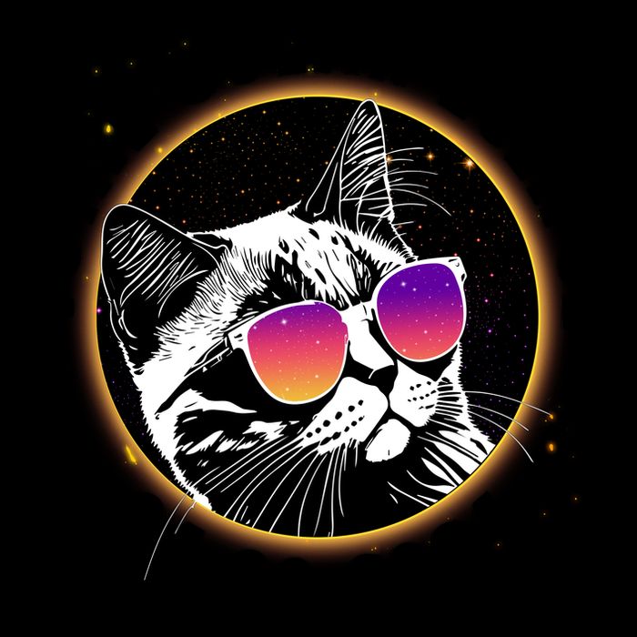 Funny Total Solar Eclipse April 8 2024 Sunglasses Cat Mug