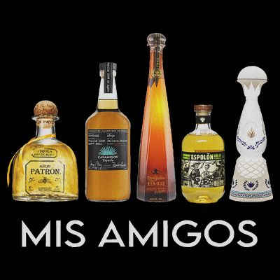 Funny Trendy Sarcastic Alcohol Mis Amigos Tequila Women T-Shirt