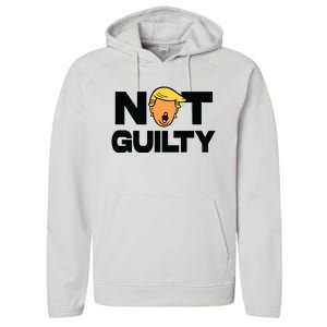 Free Trump Support Trump Trump Not Guilty Performance Fleece Hoodie