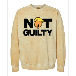 Free Trump Support Trump Trump Not Guilty Colorblast Crewneck Sweatshirt