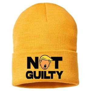 Free Trump Support Trump Trump Not Guilty Sustainable Knit Beanie