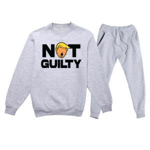 Free Trump Support Trump Trump Not Guilty Premium Crewneck Sweatsuit Set