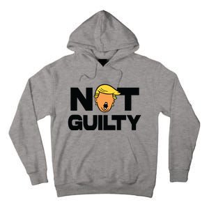 Free Trump Support Trump Trump Not Guilty Tall Hoodie