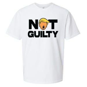 Free Trump Support Trump Trump Not Guilty Sueded Cloud Jersey T-Shirt