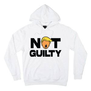 Free Trump Support Trump Trump Not Guilty Hoodie