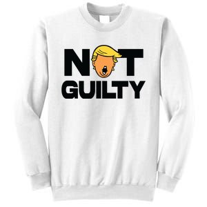 Free Trump Support Trump Trump Not Guilty Sweatshirt