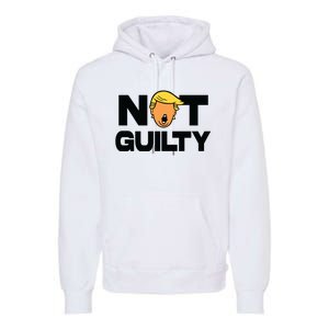 Free Trump Support Trump Trump Not Guilty Premium Hoodie